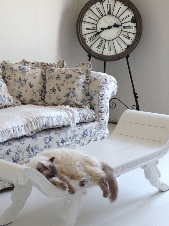 Muffin approves and is very content with her new look lounge room!