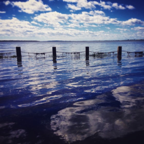 Along the bike track after the rain