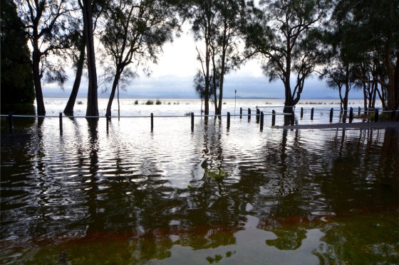 flood at long jetty 1