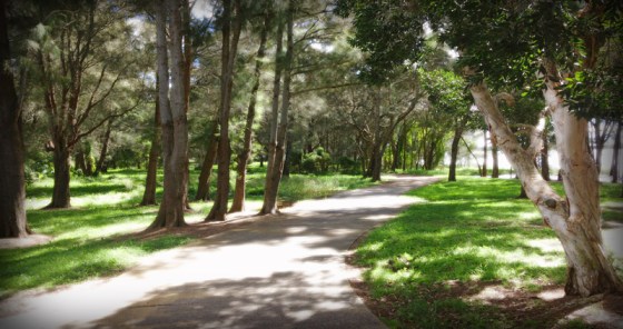 My beautiful bike track